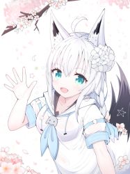 Rule 34 | 1girl, :d, ahoge, animal ear fluff, animal ears, bad id, bad pixiv id, blue neckerchief, blush, braid, branch, breasts, commentary request, drawstring, fang, flower, fox ears, fox girl, fox tail, green eyes, hair between eyes, hand up, highres, hololive, hood, hood down, hoodie, long hair, looking at viewer, neckerchief, open mouth, petals, pink flower, shirakami fubuki, shirakami fubuki (1st costume), short sleeves, small breasts, smile, solo, star (symbol), starfox1015, tail, tail raised, very long hair, virtual youtuber, white flower, white hair, white hoodie
