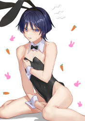 Rule 34 | 1boy, alternate costume, animal, animal ears, annoyed, bare shoulders, black bow, black bowtie, black dress, black hairband, blue hair, blush, bow, bowtie, buttons, carrot, closed mouth, crossdressing, detached collar, dress, fake animal ears, fake tail, feet out of frame, genshin impact, hair between eyes, hairband, hand on own chest, hand up, heart, leotard, looking at viewer, male focus, nipples, no panties, ojisan nyan, playboy bunny, purple eyes, rabbit, rabbit ears, rabbit tail, scaramouche (genshin impact), short hair, simple background, sitting, sleeveless, sleeveless dress, solo, sweat, sweatdrop, tail, teeth, v-shaped eyebrows, white background, wrist cuffs