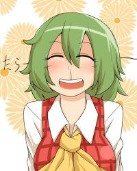 Rule 34 | 1girl, ascot, blush, breasts, closed eyes, collared shirt, commentary request, floral background, flower, green hair, hair between eyes, hay fever, kazami yuuka, kuri dora, large breasts, long bangs, long sleeves, open mouth, orange flower, plaid, plaid vest, red vest, round teeth, runny nose, shirt, short hair, smile, snot, solo, teeth, touhou, upper body, upper teeth only, vest, white background, white shirt, yellow ascot