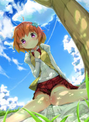 Rule 34 | 1girl, ahoge, cloud, cu (fsy84738368), day, flower, grass, hair flower, hair ornament, hand on own chest, highres, orange hair, purple eyes, quanneng jinhua, sheny&iacute;ng ehuo, shenying ehuo, short hair, sitting, skirt, sky, solo, tree