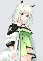 Rule 34 | 1girl, absurdres, animal ears, arknights, bare shoulders, breasts, commentary request, cowboy shot, criss-cross halter, cyrillic, dress, green dress, green eyes, grey background, halterneck, highres, kal&#039;tsit (arknights), kotoha (kotoha65), looking at viewer, material growth, medium breasts, no panties, off shoulder, oripathy lesion (arknights), short dress, short hair, silver hair, simple background, solo, standing