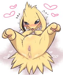 Rule 34 | 1girl, animal ears, animal hands, anus, ass, black eyes, blush, creatures (company), female focus, flying sweatdrops, full body, furry, furry female, game freak, gen 1 pokemon, half-closed eyes, hans up, heart, heart-shaped pupils, highres, jolteon, legs up, looking up, lying, negoya, nintendo, on back, pokemon, pokemon (creature), pokemon rgby, presenting, pussy, pussy juice, simple background, solo, spread legs, sweat, symbol-shaped pupils, tail, tongue, tongue out, uncensored, white background