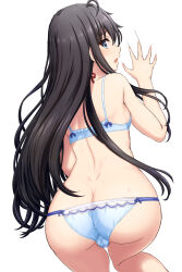 Rule 34 | 1girl, absurdres, ahoge, all fours, ass, back, black hair, blue bra, blue eyes, blue panties, bra, breasts, butt crack, cameltoe, commentary request, from above, from behind, highres, inanaki shiki, lingerie, long hair, looking at viewer, looking back, looking up, on bed, panties, simple background, small breasts, sweat, underwear, underwear only, white background, yahari ore no seishun lovecome wa machigatteiru., yukinoshita yukino