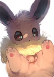 Rule 34 | :&lt;, commentary request, creatures (company), eevee, fluffy, fluffy collar, game freak, gen 1 pokemon, highres, lying, manino (mofuritaionaka), nintendo, on back, pokemon, pokemon (creature), signature, simple background, solo, white background