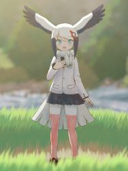 Rule 34 | 10s, 1girl, :d, artist request, bird tail, black hair, black skirt, blue eyes, blurry, blurry background, commentary, day, full body, grass, hair ornament, hairclip, hand on own chest, head wings, jacket, kemono friends, long sleeves, looking at viewer, multicolored hair, nature, open mouth, oriental stork (kemono friends), outdoors, pantyhose, pleated skirt, red pantyhose, scarf, shoes, skirt, smile, solo, standing, tail, two-tone hair, two-tone legwear, white hair, white jacket, white pantyhose, white scarf, wings