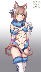 Rule 34 | 10s, 1boy, :3, animal ear fluff, animal ears, blue choker, blush, brown hair, bulge, cat boy, cat ears, cat tail, choker, commentary, cosplay, cowfee, elbow gloves, english commentary, fate/grand order, fate (series), felix argyle, fur-trimmed gloves, fur-trimmed legwear, fur collar, fur trim, gloves, gradient background, grey background, looking at viewer, male focus, mash kyrielight, mash kyrielight (dangerous beast), mash kyrielight (dangerous beast) (cosplay), navel, o-ring, official alternate costume, paw pose, re:zero kara hajimeru isekai seikatsu, revealing clothes, short hair, simple background, smile, solo, tail, thighhighs, trap, white background, white gloves, yellow eyes