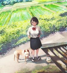 Rule 34 | 1girl, animal, arms behind back, black eyes, black hair, breasts, commission, dog, glasses, highres, leash, looking at viewer, morifumi, original, outdoors, pixiv commission, pleated skirt, rice paddy, sandals, school uniform, short hair, skirt, smile, socks, solo, stairs, teapot, white socks