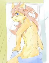 Rule 34 | 1boy, animal ears, blue eyes, brown hair, dog ears, furry, furry male, hair between eyes, indoors, joshitsu (zion16wh), little tail bronx, long hair, looking at viewer, male focus, navel, open mouth, red savarin, solatorobo, solo, steam, topless male, towel around waist