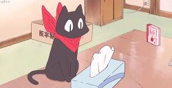 Rule 34 | &gt; &lt;, ^^^, 1boy, 1girl, animated, animated gif, black cat, black hair, cat, lowres, nichijou, sakamoto (nichijou), scarf, shinonome nano, tears, tissue, tissue box