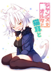 Rule 34 | 1girl, ahoge, animal ears, bell, beni shake, black dress, black thighhighs, blue jacket, blush, brown eyes, cat ears, cat girl, cat tail, dress, fang, fate/apocrypha, fate/grand order, fate (series), full body, fur-trimmed jacket, fur trim, jacket, jeanne d&#039;arc (fate), jeanne d&#039;arc alter (fate), jeanne d&#039;arc alter (ver. shinjuku 1999) (fate), jingle bell, kemonomimi mode, no shoes, nose blush, official alternate costume, open mouth, sitting, solo, tail, thighhighs, wariza, wavy mouth, white background, white hair, wicked dragon witch ver. shinjuku 1999