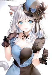 Rule 34 | 1girl, absurdres, animal ears, black gloves, blue eyes, bow, bowtie, breasts, cat ears, cat tail, choker, cleavage, collarbone, dress, earrings, facial mark, fang, feathers, final fantasy, final fantasy xiv, frills, gloves, hat, highres, jewelry, long hair, looking at viewer, medium breasts, mini hat, miqo&#039;te, momoko (momopoco), open mouth, scan, simple background, smile, solo, tail, warrior of light (ff14), white background, white hair