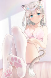 Rule 34 | 1girl, akino ell, animal ear fluff, animal ears, aqua eyes, blush, bra, breasts, cat ears, cat girl, cat tail, cleavage, closed mouth, commentary, feet, floral print, from below, grey hair, hair ornament, hairclip, halterneck, heart, heart hair ornament, highres, long hair, looking at viewer, medium breasts, no shoes, one side up, original, panties, paw print, paw print socks, paw print soles, pink bra, pink panties, print bra, putting on legwear, sidelocks, sitting, solo, symbol-only commentary, tail, thighhighs, thighs, underwear, white thighhighs