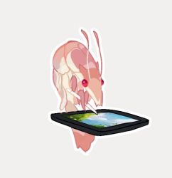Rule 34 | animal, commentary, drawing tablet, english commentary, full body, grey background, holding, holding stylus, lowres, no humans, original, outline, red eyes, shrimp, simple background, solo, stylus, tmdease, white outline
