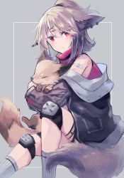 1girl animal animal_ears arknights bandaid bandaid_on_shoulder black_jacket commentary_request cutter_(arknights) floppy_ears fox fox_ears fox_girl fox_tail grey_hair hair_ornament half_updo highres holding holding_animal jacket knee_pads long_sleeves looking_at_viewer off_shoulder open_clothes open_jacket red_eyes red_shirt sasa_onigiri shirt short_hair sleeveless sleeveless_shirt solo tail topknot x_hair_ornament