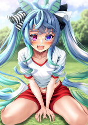 Rule 34 | 1girl, absurdres, ahoge, animal ears, aqua hair, black ribbon, blue eyes, blue hair, blue sky, blurry, blurry background, commentary request, crossed bangs, day, drill hair, grass, gym shirt, gym shorts, gym uniform, hair ribbon, heterochromia, highres, horse ears, horse girl, horse tail, long hair, manu lee, midriff, multicolored hair, navel, on ground, open mouth, outdoors, partial commentary, purple eyes, red shorts, ribbon, sharp teeth, shirt, short sleeves, shorts, sidelocks, sitting, sky, solo, sweat, t-shirt, tail, teeth, twin turbo (umamusume), twintails, two-tone hair, umamusume, v arms, wariza