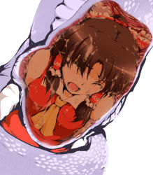Rule 34 | 1girl, brown hair, coiled, ascot, closed eyes, hakurei reimu, open mouth, simple background, snake, touhou, vore, white background