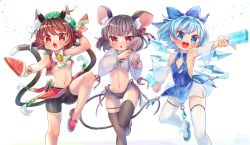 Rule 34 | 3girls, :3, :d, animal ear fluff, animal ears, bell, black legwear, blue eyes, blue hair, blush, breasts, brown eyes, brown hair, cat ears, cat tail, chen, cirno, fang, flat chest, food, gold trim, grey hair, hat, highres, ibaraki natou, jingle bell, mob cap, mouse ears, mouse tail, multiple girls, multiple tails, navel, nazrin, nekomata, open mouth, popsicle, red eyes, shorts, smile, standing, standing on one leg, tail, thighhighs, touhou, two tails, underboob, v-shaped eyebrows, white legwear