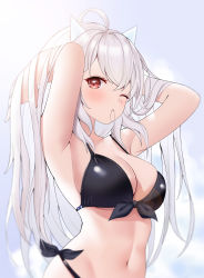 Rule 34 | 1girl, absurdres, ahoge, armpits, arms up, bikini, black bikini, blush, breasts, character request, cleavage, closed mouth, commentary request, copyright request, front-tie bikini top, front-tie top, grey background, hair tie, hands in hair, highres, large breasts, lens flare, long hair, mouth hold, navel, one eye closed, red eyes, side-tie bikini bottom, silver hair, skindentation, solo, stomach, swimsuit, takeawatch, tying hair, upper body, very long hair, virtual youtuber