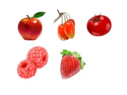 Rule 34 | apple, food, food focus, food request, fruit, komota (kanyou shoujo), original, raspberry, simple background, still life, strawberry, tomato, white background