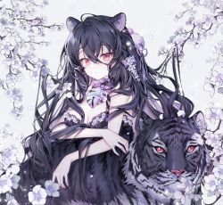 Rule 34 | 1girl, animal, animal ear fluff, animal ears, animal print, bare arms, bare shoulders, bell, black dress, black hair, bow, braid, branch, breasts, cleavage, closed mouth, commentary request, dress, flower, hair bow, hair flower, hair ornament, highres, jingle bell, large breasts, long hair, looking at viewer, multicolored hair, nail polish, original, petals, pingo, purple bow, purple hair, purple nails, red eyes, solo, strap slip, tiger, tiger ears, tiger print, two-tone hair, very long hair, white flower