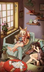 Rule 34 | 2girls, absurdres, alternate costume, animal ears, bare legs, bare shoulders, barefoot, blonde hair, blouse, blue dress, book, braid, casual, common raccoon (kemono friends), contemporary, couch, dress, extra ears, fennec (kemono friends), fox ears, fox girl, fox tail, french braid, grey hair, grey shorts, hair between eyes, highres, kemono friends, lucky beast (kemono friends), lying, multiple girls, nanana (nanana iz), on back, picture frame, raccoon ears, raccoon girl, raccoon tail, reading, red shirt, shirt, short hair, shorts, sleeping, sleeveless, striped clothes, striped shirt, tail