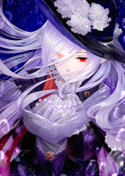 Rule 34 | 1girl, absurdres, arknights, ascot, bielin, black hat, commentary request, flower, gladiia (arknights), hair over one eye, hat, hat flower, highres, long hair, looking at viewer, red eyes, solo, upper body, white ascot, white flower, white hair