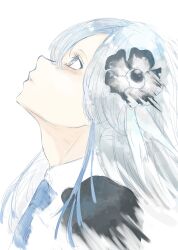 Rule 34 | 1girl, black flower, blue hair, blue necktie, close-up, expressionless, flower, from side, grey eyes, grey hair, hair flower, hair ornament, highres, isekai joucho, kamitsubaki studio, kino (kin0 oz), looking up, multicolored hair, necktie, profile, simple background, sketch, solo, two-tone hair, virtual youtuber, white background