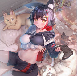 Rule 34 | 1girl, absurdres, animal ear fluff, animal ears, arm under breasts, black hair, blush, breast hold, breasts, cat, clothes lift, collarbone, controller, cucumbear073, highres, holding, holding controller, hololive, hood, hoodie, hoodie lift, indoors, large breasts, long hair, long sleeves, looking at viewer, lowleg, lowleg shorts, midriff, multicolored hair, navel, ookami mio, ookami mio (casual), orange eyes, playing games, red hair, short shorts, shorts, sitting, streaked hair, tail, taut clothes, virtual youtuber, wolf ears, wolf tail