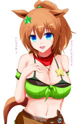 Rule 34 | 1girl, :d, animal ears, armband, bandana, bare shoulders, bikini, bikini under clothes, blue eyes, breasts, brown hair, cleavage, commentary request, front-tie top, green armband, green shirt, groin, gun, hair between eyes, hair ornament, hand on own chest, handgun, highres, holstered, horse ears, large breasts, long hair, looking at viewer, midriff, navel, off-shoulder shirt, off shoulder, open mouth, ponytail, revolver, shirt, short sleeves, simple background, smile, solo, star (symbol), star hair ornament, stomach, swimsuit, taiki shuttle (umamusume), tail, tkka, umamusume, upper body, weapon, white background