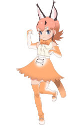 Rule 34 | 1girl, animal ears, blue eyes, caracal (kemono friends), cat ears, cat girl, cat tail, kemono friends, kemono friends 2, looking at viewer, official art, orange hair, short hair, simple background, solo, tail