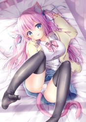Rule 34 | 1girl, animal ear fluff, animal ears, bed, black thighhighs, blue eyes, blue skirt, blush, bow, bowtie, breasts, buttons, cardigan, cat ears, cat tail, checkered bow, checkered bowtie, checkered clothes, checkered neckwear, collared shirt, hair ribbon, large breasts, legs up, long hair, lying, momochi chia, on back, on bed, original, panties, paw pose, pillow, pink bow, pink bowtie, pink hair, pleated skirt, ribbon, shirt, skirt, soles, solo, tail, thighhighs, tongue, tongue out, two side up, underwear, white panties, white shirt