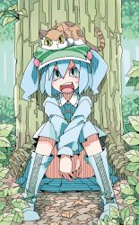 Rule 34 | 1girl, animal, animal on head, bad id, bad pixiv id, blue eyes, blue hair, boots, cat, cat on head, covering privates, covering crotch, d@i, female focus, hair bobbles, hair ornament, hat, highres, kawashiro nitori, key, leaf, matching hair/eyes, nature, on head, open mouth, outdoors, plant, short hair, sitting, solo, touhou, tree, twintails, two side up