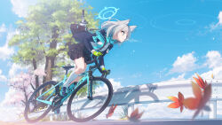 Rule 34 | 1girl, absurdres, animal ears, arukiru, bicycle, blue archive, blue eyes, cherry blossoms, closed mouth, day, extra ears, grey hair, guard rail, highres, incredibly absurdres, leaf, maple leaf, medium hair, outdoors, riding, riding bicycle, shiroko (blue archive), solo, tree, wolf ears