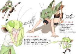 Rule 34 | &gt;:o, 2girls, all fours, antennae, arthropod girl, bare arms, bike shorts, black socks, bow, bowtie, brown footwear, bug, character sheet, chibi, clenched hands, clothes around waist, collared shirt, commentary request, evolvingmonkey, fighting stance, grasshopper, grasshopper inoue, green nails, hands up, highres, insect, kicking, kneehighs, kneeling, leg up, loose bowtie, mantis akiyama, mantis girl, medium hair, monster girl, multiple girls, nail polish, original, plaid, plaid skirt, pleated skirt, praying mantis, punching, school uniform, shirt, shoes, short hair, short sleeves, shorts, shorts under skirt, skirt, sleeves rolled up, socks, sprinting pose, sweater, sweater around waist, sweater vest, text focus, translation request, twintails, v-shaped eyebrows