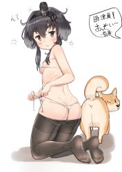 Rule 34 | 1girl, alternate costume, ass, bad id, bad twitter id, bikini, black hair, black pantyhose, blush, breasts, brown eyes, closed mouth, clothes pull, commentary request, dog, gradient background, hat, highres, kantai collection, lowleg, lowleg pantyhose, micro bikini, osananajimi neko, pantyhose, short hair, short hair with long locks, sidelocks, small breasts, smile, swimsuit, thick eyebrows, tokitsukaze (kancolle), translated