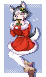 Rule 34 | alternate costume, animal ears, black hair, blue eyes, blush, boots, bow, brown footwear, christmas present, commentary request, dog ears, dog girl, dog tail, dress, fur trim, gift, green bow, hair bow, highres, kemono friends, kemono friends 3, long sleeves, looking at viewer, multicolored hair, pantyhose, red dress, santa costume, short hair, siberian husky (kemono friends), tail, two-tone hair, white fur, white hair, white pantyhose, yuanagae