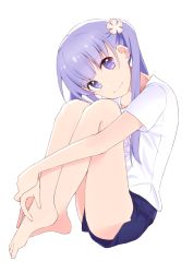 Rule 34 | 1girl, barefoot, blue shorts, feet, full body, hair ornament, hands on feet, head tilt, hugging own legs, long hair, looking at viewer, new game!, nico dot, purple eyes, purple hair, shirt, short shorts, short sleeves, shorts, simple background, sitting, smile, solo, suzukaze aoba, twintails, white background, white shirt