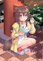 Rule 34 | 1girl, :3, animal ears, bare shoulders, blue bow, blush, bone hair ornament, bow, braid, brown eyes, brown hair, cartoon bone, closed mouth, collared dress, commentary request, day, dog ears, dog girl, dog tail, dress, full body, hair between eyes, hair ornament, hair over shoulder, hands up, holding, holding pencil, hololive, inugami korone, inugami korone (1st costume), jacket, long hair, long sleeves, looking at viewer, map, off shoulder, open clothes, open jacket, outdoors, pencil, red bow, red socks, revision, ribbed legwear, shoes, sleeveless, sleeveless dress, socks, solo, squatting, tail, tukino neru, twin braids, virtual youtuber, white dress, white footwear, yellow jacket