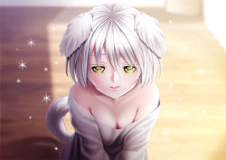 Rule 34 | 1girl, animal ears, bare shoulders, breasts, cleavage, colored eyelashes, dog ears, dog tail, keisekisan, looking at viewer, original, short hair, small breasts, solo, symbol-shaped pupils, tail, colored eyelashes, white hair, yellow eyes