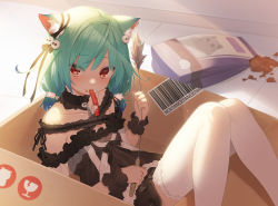 Rule 34 | 1girl, animal ear fluff, animal ears, barcode, bare shoulders, black dress, box, cat ears, collarbone, commentary request, dress, eyes visible through hair, feet out of frame, food, food on face, frilled dress, frilled thighhighs, frills, green hair, highres, holding, hololive, in box, in container, knees up, long hair, looking at viewer, low twintails, mokew, mouth hold, off-shoulder dress, off shoulder, pet food, red eyes, solo, thighhighs, twintails, uruha rushia, uruha rushia (3rd costume), virtual youtuber, white thighhighs