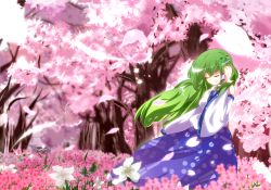 Rule 34 | 1girl, cherry blossoms, detached sleeves, closed eyes, female focus, field, flower, flower field, forest, frog, green hair, hand in own hair, kochiya sanae, nature, nunua, outdoors, plant, solo, touhou
