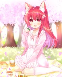 Rule 34 | 1girl, animal ear fluff, animal ears, blanket, cat ears, cherry blossoms, commentary request, dress, flower, food, frilled dress, frilled sailor collar, frilled socks, frills, grass, hair between eyes, hair flower, hair ornament, hanami, hand up, highres, holding, holding food, jacket, long hair, long sleeves, multicolored hair, no shoes, original, petals, pink jacket, puffy long sleeves, puffy sleeves, purple hair, red eyes, red hair, sailor collar, sailor dress, sakura mochi, shikito (yawa0w0), sitting, sleeves past wrists, socks, solo, tree, two-tone hair, wagashi, wariza, white dress, white flower, white socks