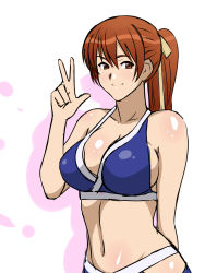 Rule 34 | 1girl, arm behind back, bikini, breasts, brown eyes, brown hair, cleavage, dead or alive, dead or alive xtreme, female focus, hair ribbon, highres, kagemusha, kasumi (doa), large breasts, long hair, navel, ponytail, ribbon, sideboob, simple background, solo, swimsuit, v