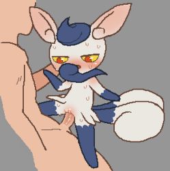 Rule 34 | 1boy, 1girl, animal ears, blue fur, blue hair, body fur, cat ears, cat girl, cat tail, clitoris, colored sclera, creatures (company), flat chest, full body, fur collar, furry, furry female, game freak, gen 6 pokemon, grey background, hetero, interspecies, meowstic, meowstic (female), multiple tails, nintendo, open mouth, penis, pixel art, pokemon, pokemon (creature), pokephilia, pussy, red eyes, sex, short hair, simple background, size difference, solo focus, spread legs, straddling, sweat, tail, tosx, two-tone fur, two tails, vaginal, white fur, yellow sclera