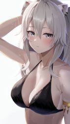 Rule 34 | 1girl, absurdres, animal ears, arm up, armband, bare shoulders, bikini, black bikini, blush, breasts, cleavage, ear piercing, grey eyes, grey hair, hair between eyes, halterneck, hand in own hair, highres, hololive, large breasts, lion ears, long hair, looking at viewer, parted lips, piercing, shishiro botan, solo, swimsuit, upper body, virtual youtuber, wet, white background, yamamoto (ymmt is sexy)