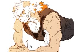 Rule 34 | 1boy, animal ears, arknights, bara, cropped torso, dog boy, dog ears, exercising, furry, furry male, hair between eyes, highres, horns, hung (arknights), large pectorals, male focus, multicolored hair, muscular, orange hair, pectorals, ppyong, push-ups, single horn, solo, streaked hair, sweat, training, white hair