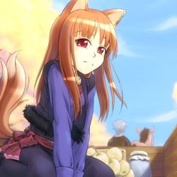 Rule 34 | 00s, animal ears, apple, brown hair, cart, caryo, craft lawrence, food, fruit, holo, long hair, red eyes, spice and wolf, tail, takeda yukimura, wolf ears, wolf tail
