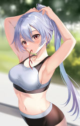 Rule 34 | 1girl, armpits, arms behind head, arms up, bare shoulders, black shorts, blush, bra, breasts, collarbone, fate/grand order, fate (series), grey bra, hair between eyes, harimoji, long hair, looking at viewer, medium breasts, mouth hold, navel, ponytail, red eyes, red ribbon, ribbon, short shorts, shorts, silver hair, solo, sports bra, tomoe gozen (fate), tying hair, underwear