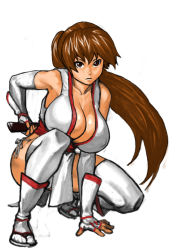 Rule 34 | 1girl, 66head, alternate color, bad id, bad pixiv id, breasts, brown eyes, brown hair, cleavage, dead or alive, elbow gloves, fingerless gloves, gloves, holding, holding behind back, huge breasts, kasumi (doa), long hair, ninja, panties, pelvic curtain, ponytail, sheath, sheathed, solo, squatting, tecmo, thighhighs, underwear, white thighhighs