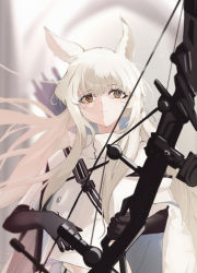 Rule 34 | 1girl, animal ears, arknights, black gloves, blurry, blurry background, bow, bow (weapon), commentary, compound bow, floating hair, gloves, highres, holding, holding bow (weapon), holding weapon, horse ears, jacket, long hair, looking at viewer, midu5, platinum (arknights), quiver, sidelocks, solo, straight-on, upper body, weapon, white hair, white jacket, yellow eyes